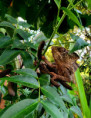 /album/fotogaleria-madagaskar-hotely/madagaskar-hotely-48-jpg/